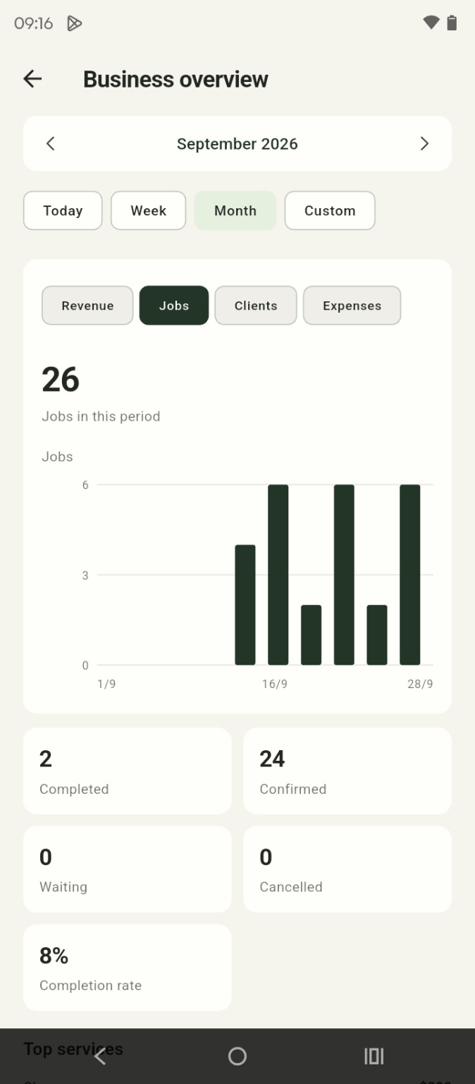 Actual Schediz Business Overview screen showing period filters and job totals